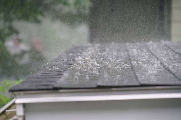 Best Solar Panel Roofing Installation  in Delhi, CA