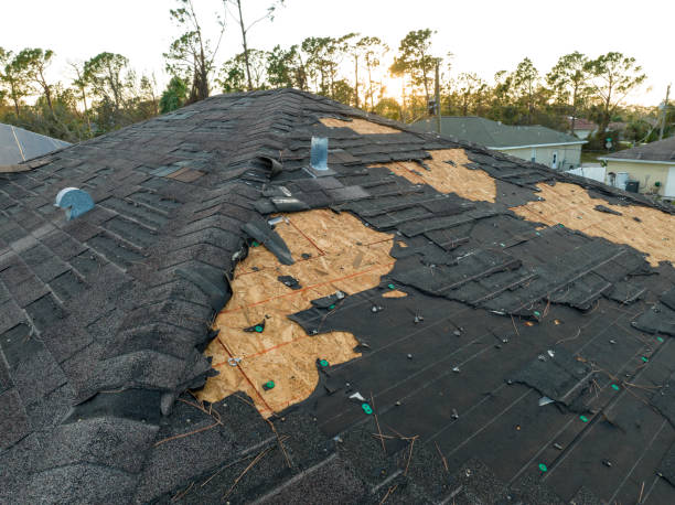 Best Metal Roofing Installation  in Delhi, CA